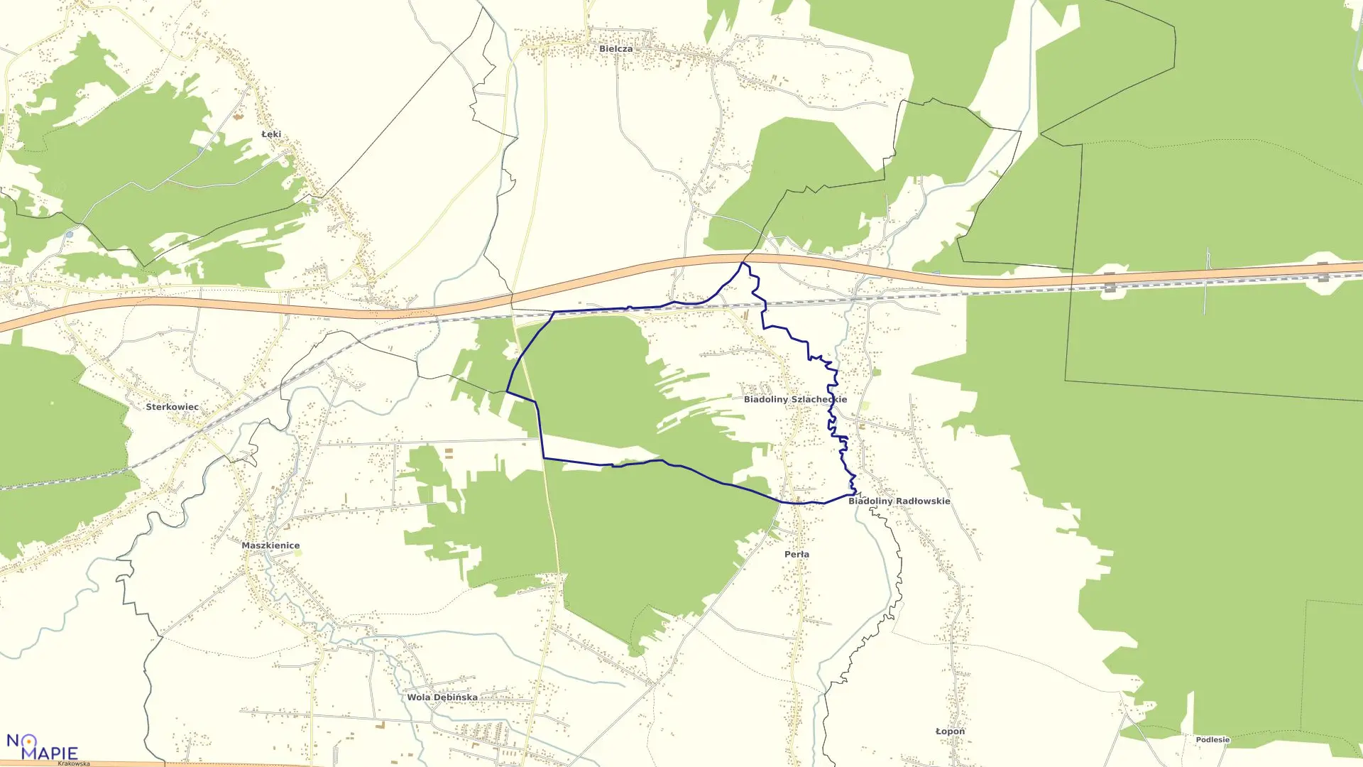 Mapa obrębu Biadoliny Szlacheckie w gminie Dębno